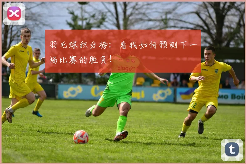羽毛球积分榜：看我如何预测下一场比赛的胜负！